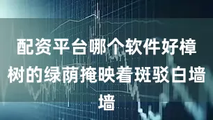 配资平台哪个软件好樟树的绿荫掩映着斑驳白墙