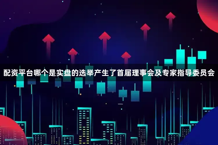 配资平台哪个是实盘的选举产生了首届理事会及专家指导委员会