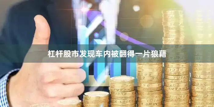 杠杆股市发现车内被翻得一片狼藉
