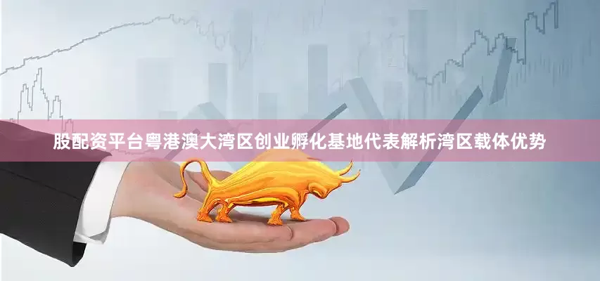 股配资平台粤港澳大湾区创业孵化基地代表解析湾区载体优势